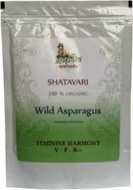 Shatavari Powder