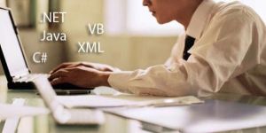 Software Development Services