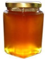 Eucalyptus Honey