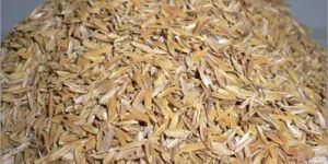Broken Rice Husk