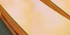 Beryllium Copper Alloy