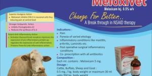 Meloxivet Injection