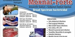 Moxnal-Forte Injection