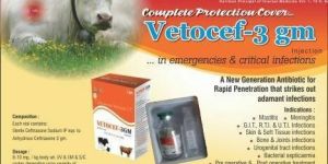 Vetocef-3gm Injection