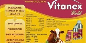 Vitanex Gold Feed Supplement