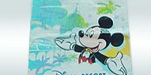 Oxo Biodegradable Poly Bags