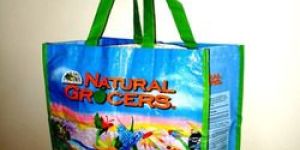 PP Woven Shopping Bag