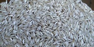Pusa Basmati Rice