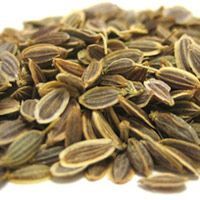 Dill Seeds
