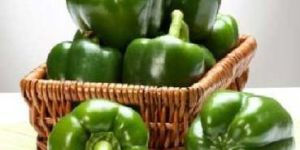 Hybrid Capsicum Seeds