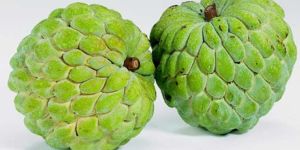 Fresh Custard Apple