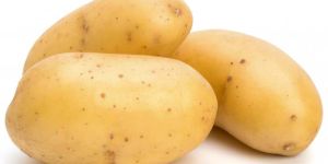 Fresh Potato