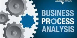 Project Management Services