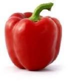 Red Paprika