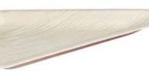 Palm Leaf Triangle Plate