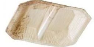 Palm Leaf Two Compartment Mini Plate