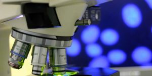 Microscope Equipment