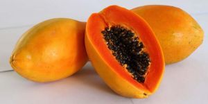 Fresh Papaya
