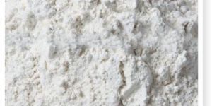 Dehydrated White Onion Powder