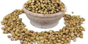 Organic Coriander (Dhania) Whole