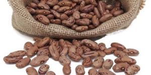 Organic Rajma Chitra (Joshimath)