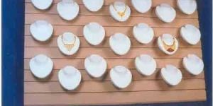 Necklace Display Busts