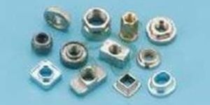 Automotive Rivets Nuts