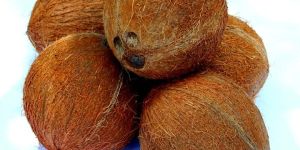 Coconut