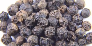 Black Pepper Seeds