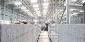 Autoclave Aerated Concrete Plant