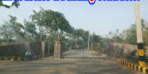 SilverGlades Farmhouses for Sale