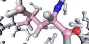 Yohimbine Hydrochloride