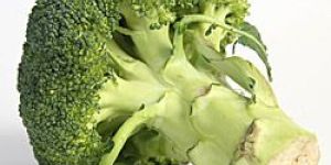 Fresh Broccoli