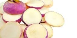 Fresh Turnip