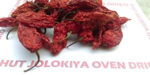 Bhut Jolokia Pepper