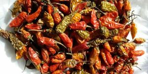 Fatki Red Chilli