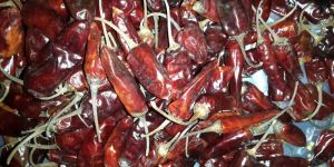 Dried Tepa Chili