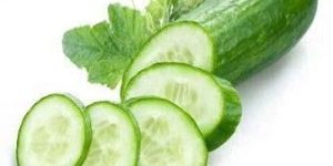 Fresh Cucumber