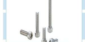 Stainless Steel Nuts