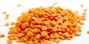Lentils