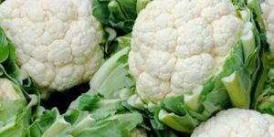 Fresh Cauliflower