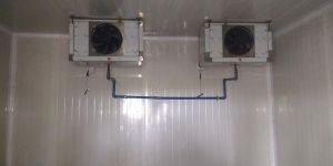 Cold Chamber Renting Services