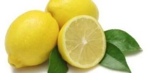 Fresh Lemon