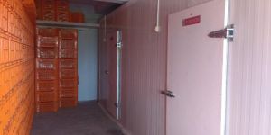 Ripening Chamber Renting Services