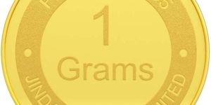 1 Gram Gold Coin