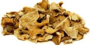 Oyster Mushroom Dried