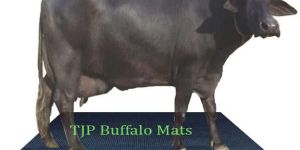 Rubber Buffalo Mats