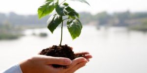 Environment Impact Assessment