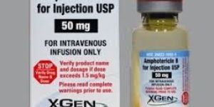 Amphotericin B Injection