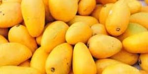 Fresh Mango